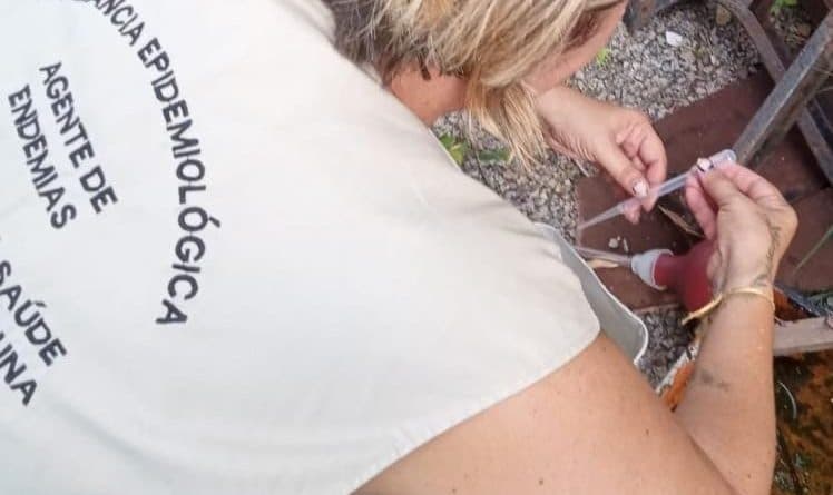 Sobe o número de focos do mosquito da dengue em Laguna