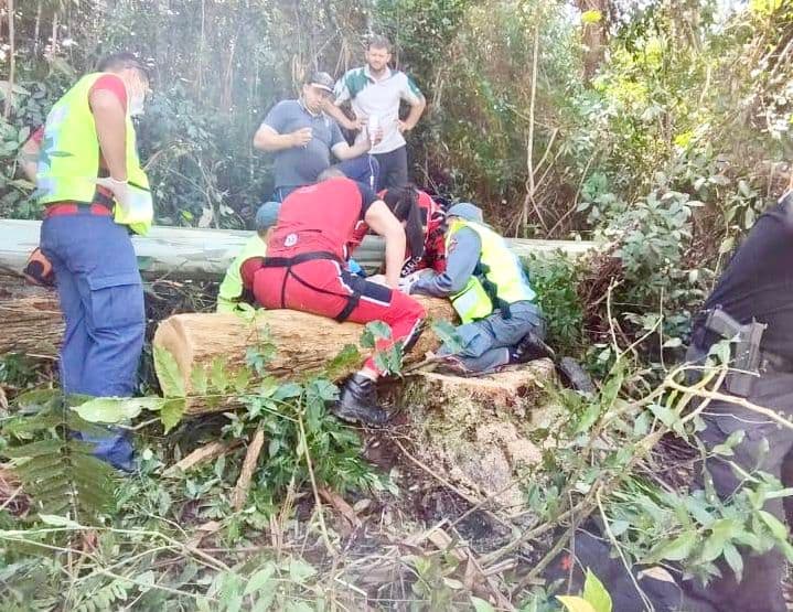 Homem fica gravemente ferido ao ser atingido por árvore