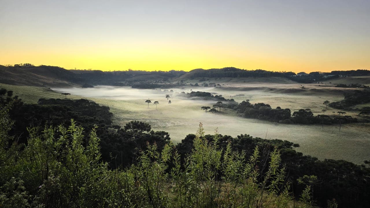 Primeira geada do ano tem temperatura de 1,5ºC na Serra Catarinense