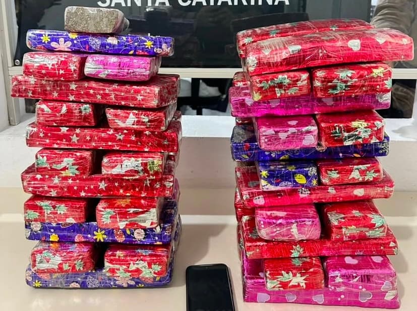 Quase 30 kg de maconha são apreendidos antes de serem entregues em Tubarão