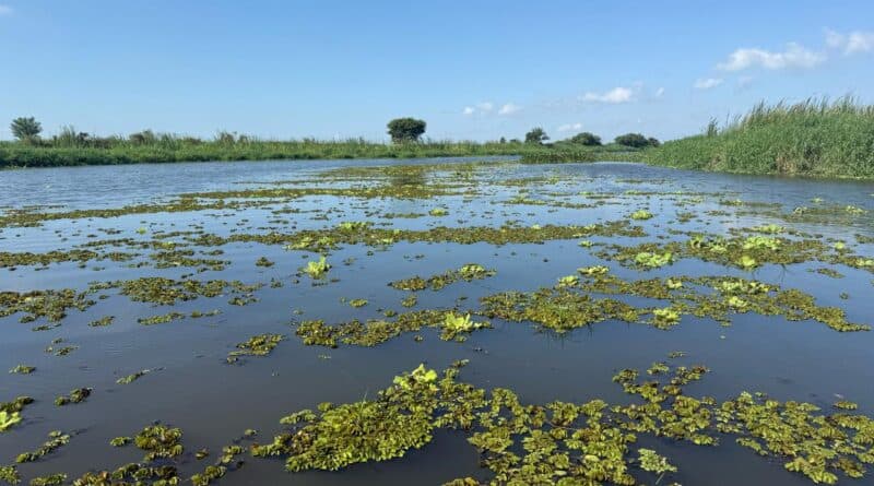 Vistoria técnica em rios é realizada para garantir escoamento e prevenir enchentes