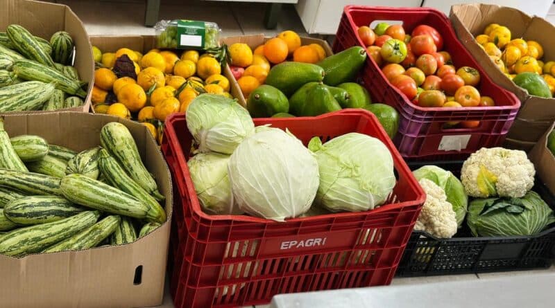 Programa Banco de Alimentos soma 9 toneladas de mantimentos recebidos em 2025