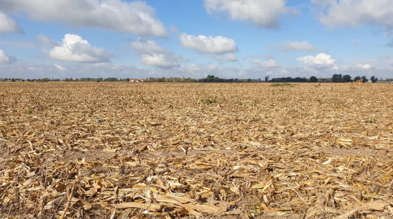 Tubarão decreta situação de emergência em decorrência da estiagem