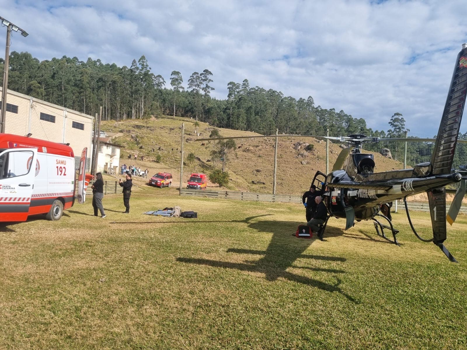 Idoso é atingido por toras de árvore e sofre politrauma