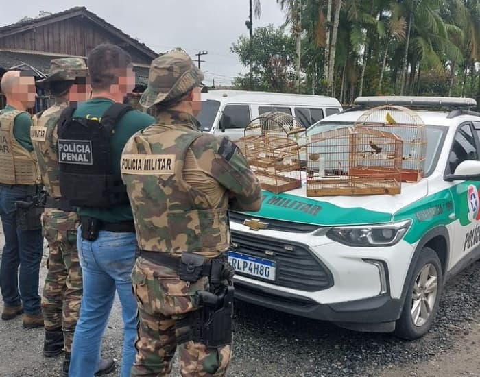 Operação do Gaeco mira suspeitos de traficarem animais silvestres