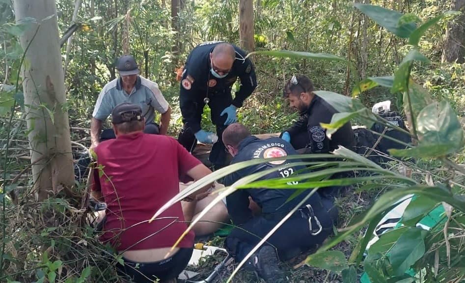 Homem fica gravemente ferido ao ser atingido por árvore