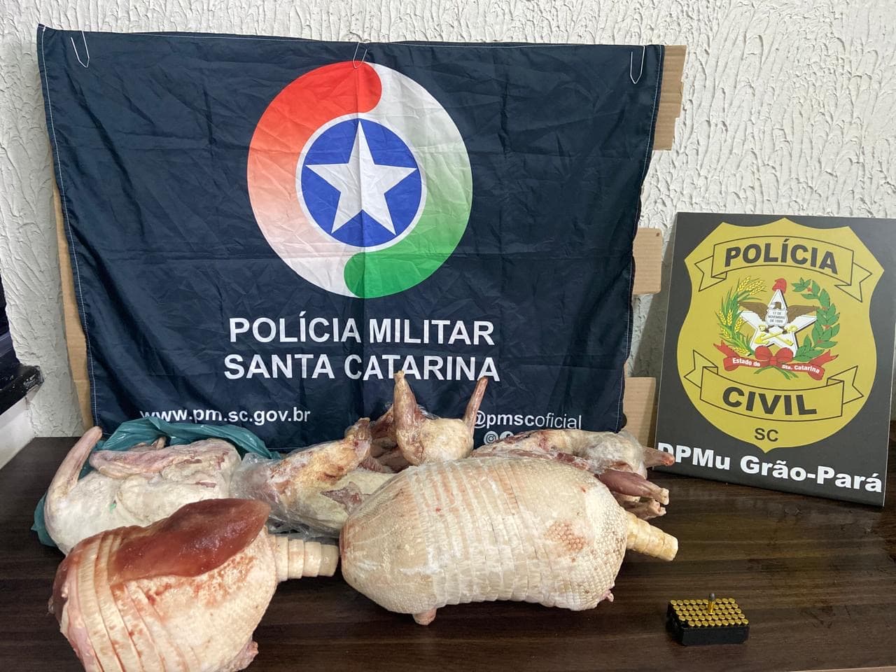 Carcaças de animais silvestres são encontradas em freezer