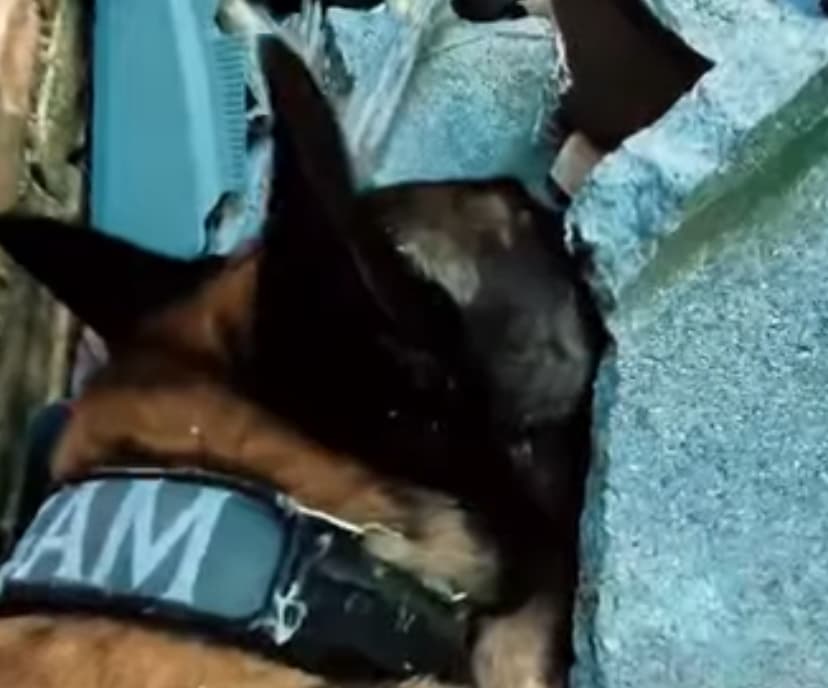 Cerca de 150 pedras de crack são encontradas pela polícia em terreno baldio