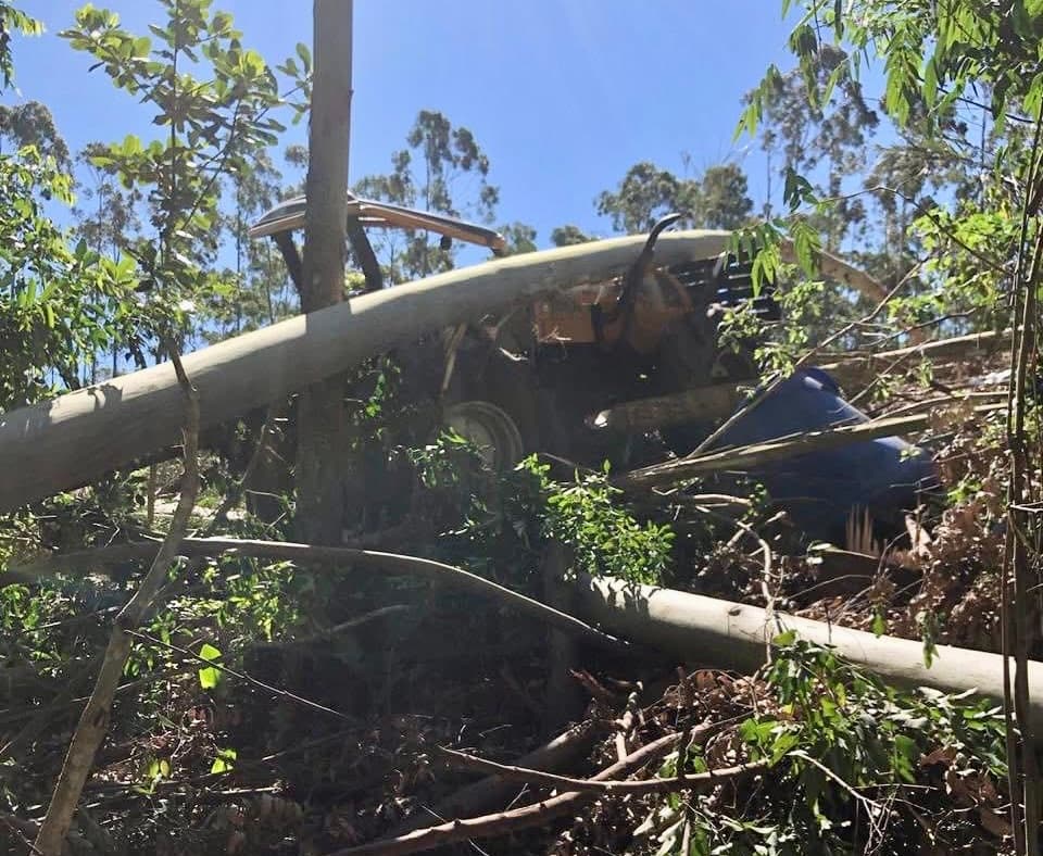 Trabalhador é atingido por árvore durante corte e não resiste