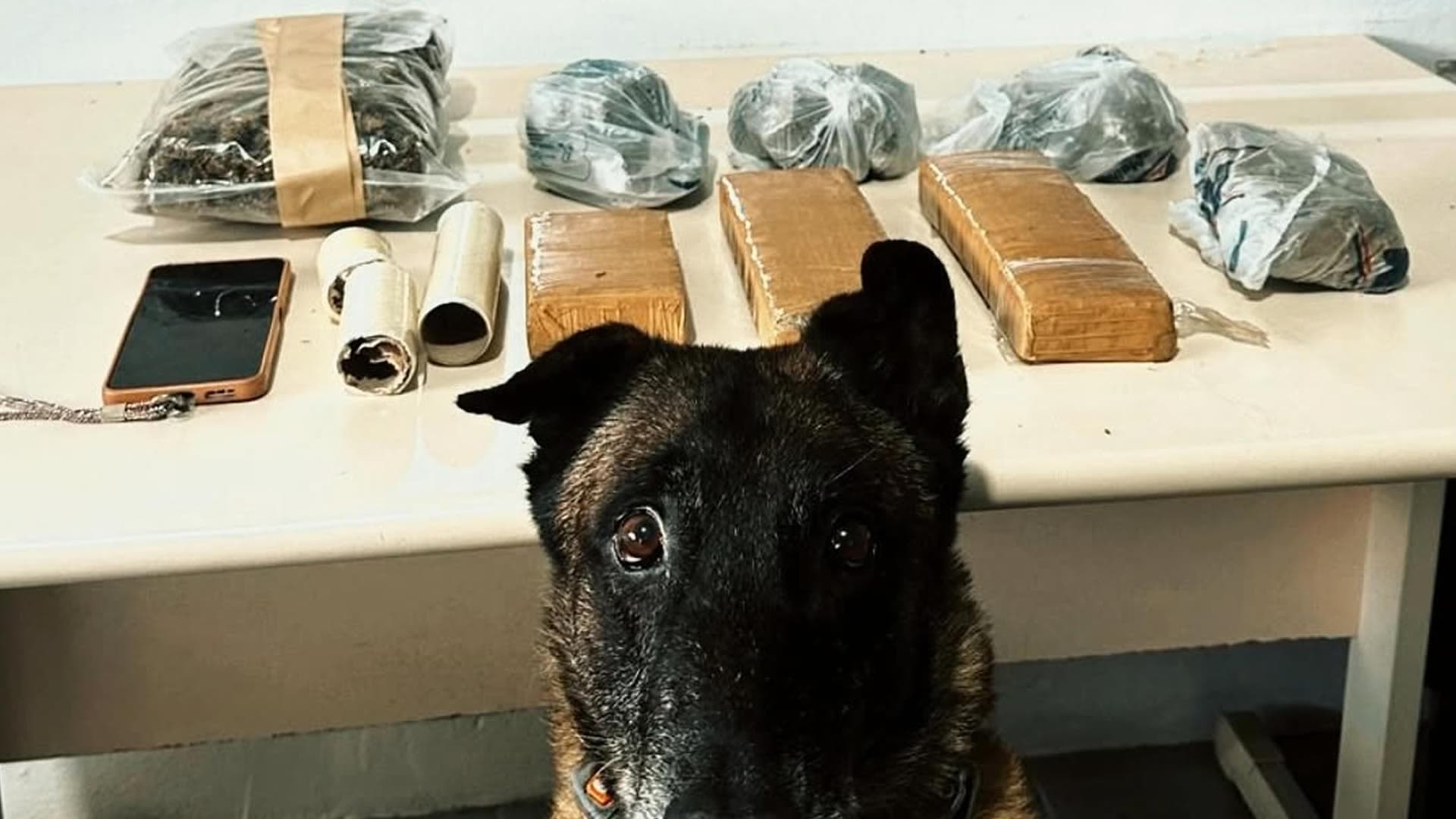 Mulher é presa com mais de três quilos de maconha