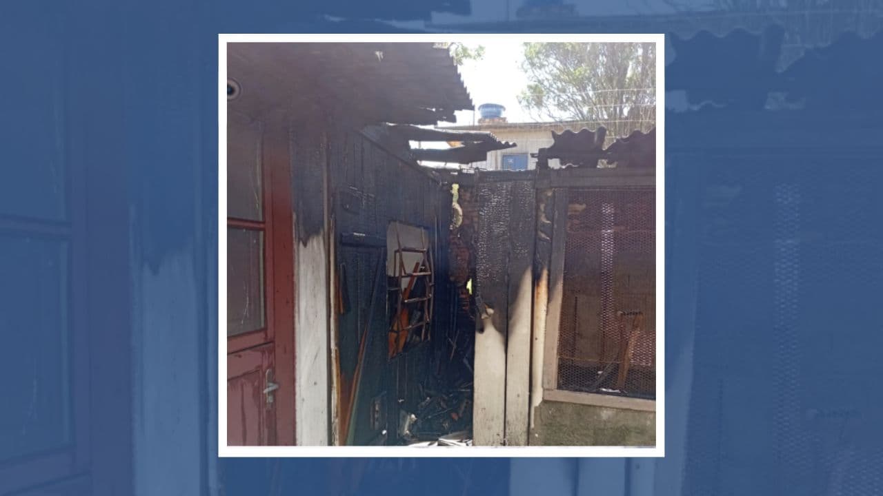 Tentativa de eliminar vespas com fogo causa incêndio em edícula