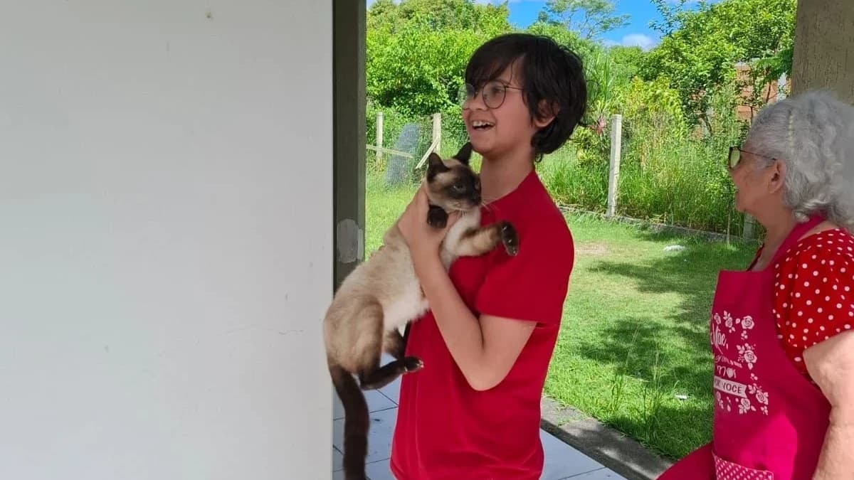 Gato é resgatado após quatro dias preso em casa abandonada