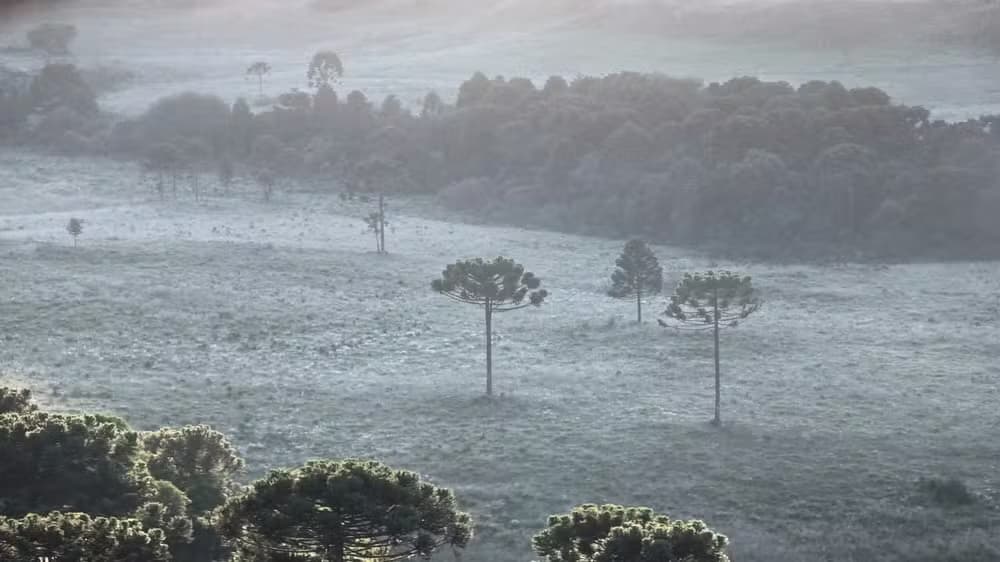 Serra amanhece com geada e cara de inverno em pleno janeiro
