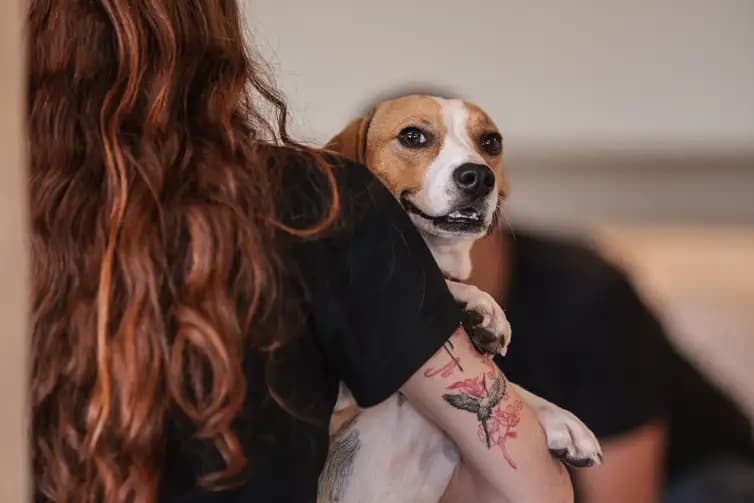 Debate sobre violência contra animais ganha força após caso do cão Orelha