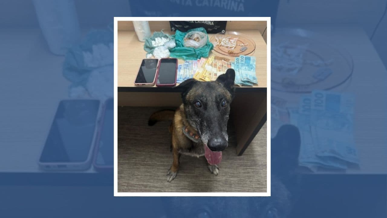 Casal de traficantes é preso após dois meses de monitoramento