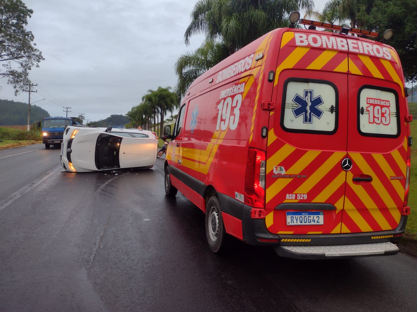 Carro capota após colidir com porco que caiu de caminhão