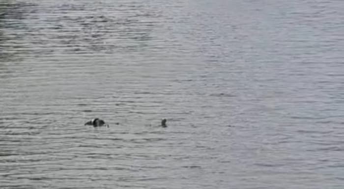 Corpo é encontrado boiando no Rio Tubarão na manhã desta quarta-feira (15)