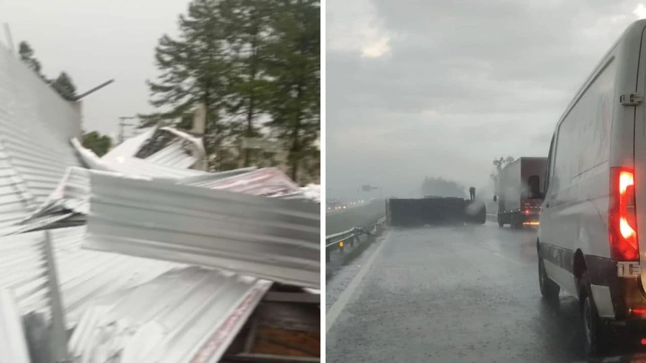 Temporal derruba árvores, destelha galpões e tomba caminhão na região