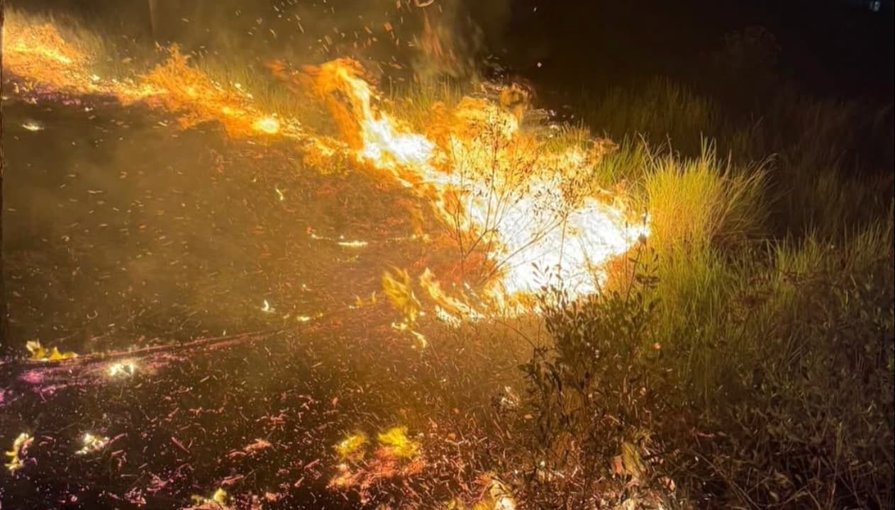 Incêndio atinge área de vegetação e assusta moradores em Jaguaruna