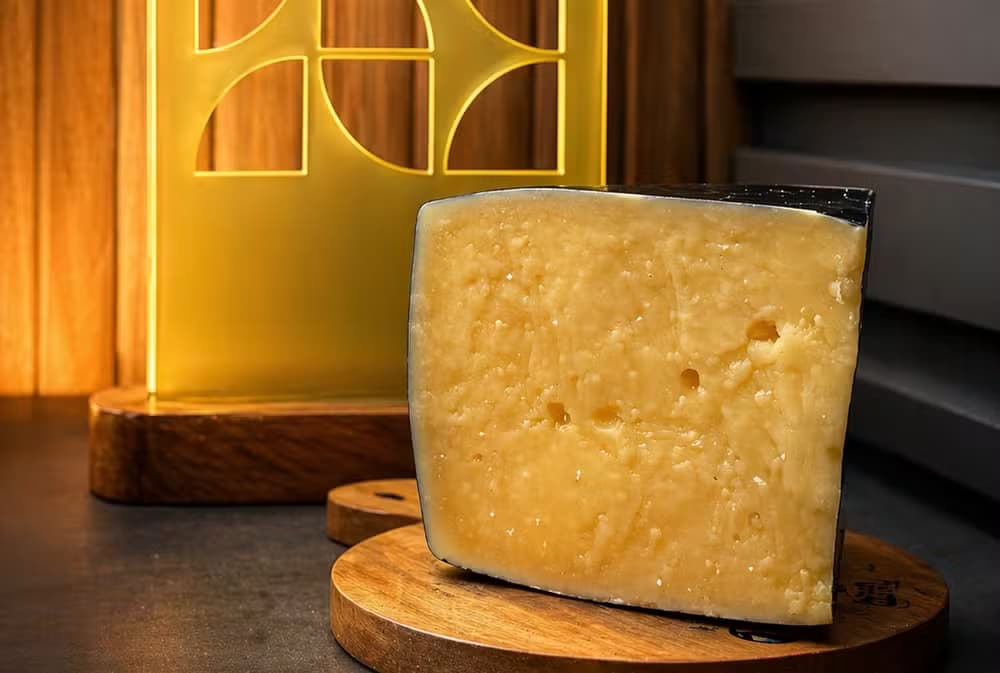 Queijo produzido em Santa Catarina é eleito o melhor do mundo