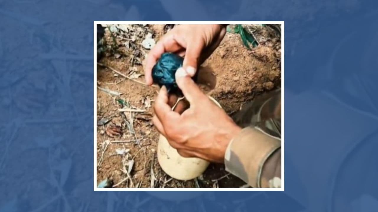 Cão policial encontra mais de um quilo de cocaína enterrado