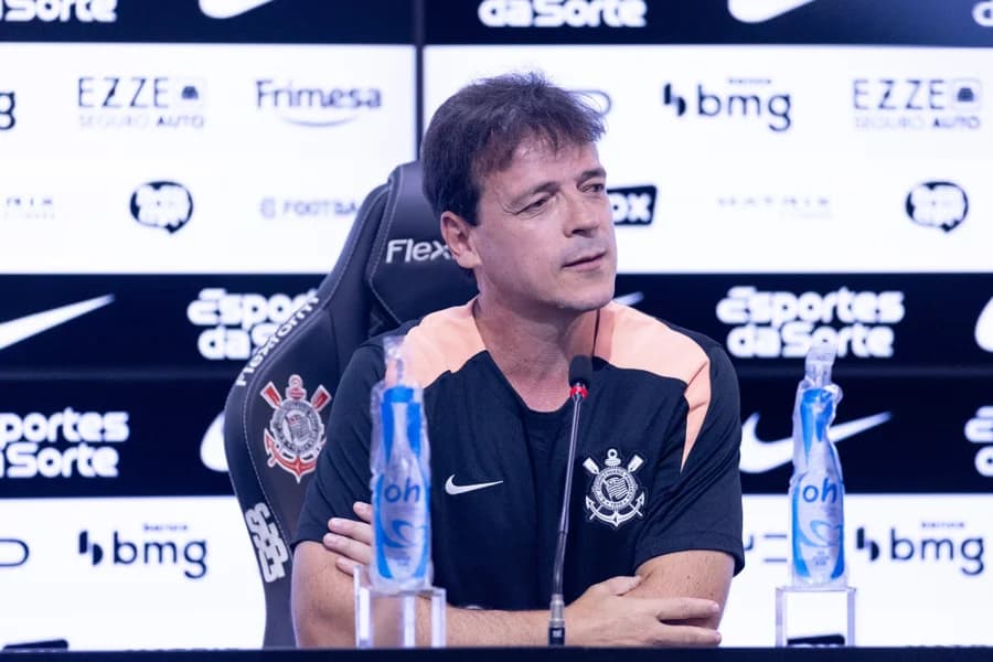 Fernando Diniz vira alvo do STJD após atacar arbitragem