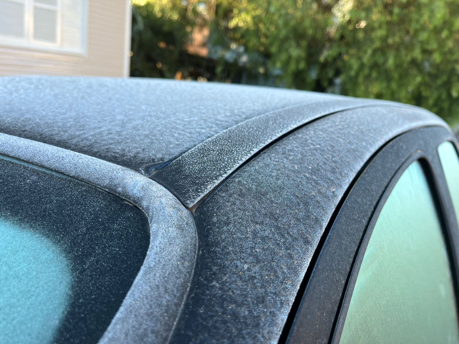 Frio intenso traz primeiros registros de neve do ano em SC