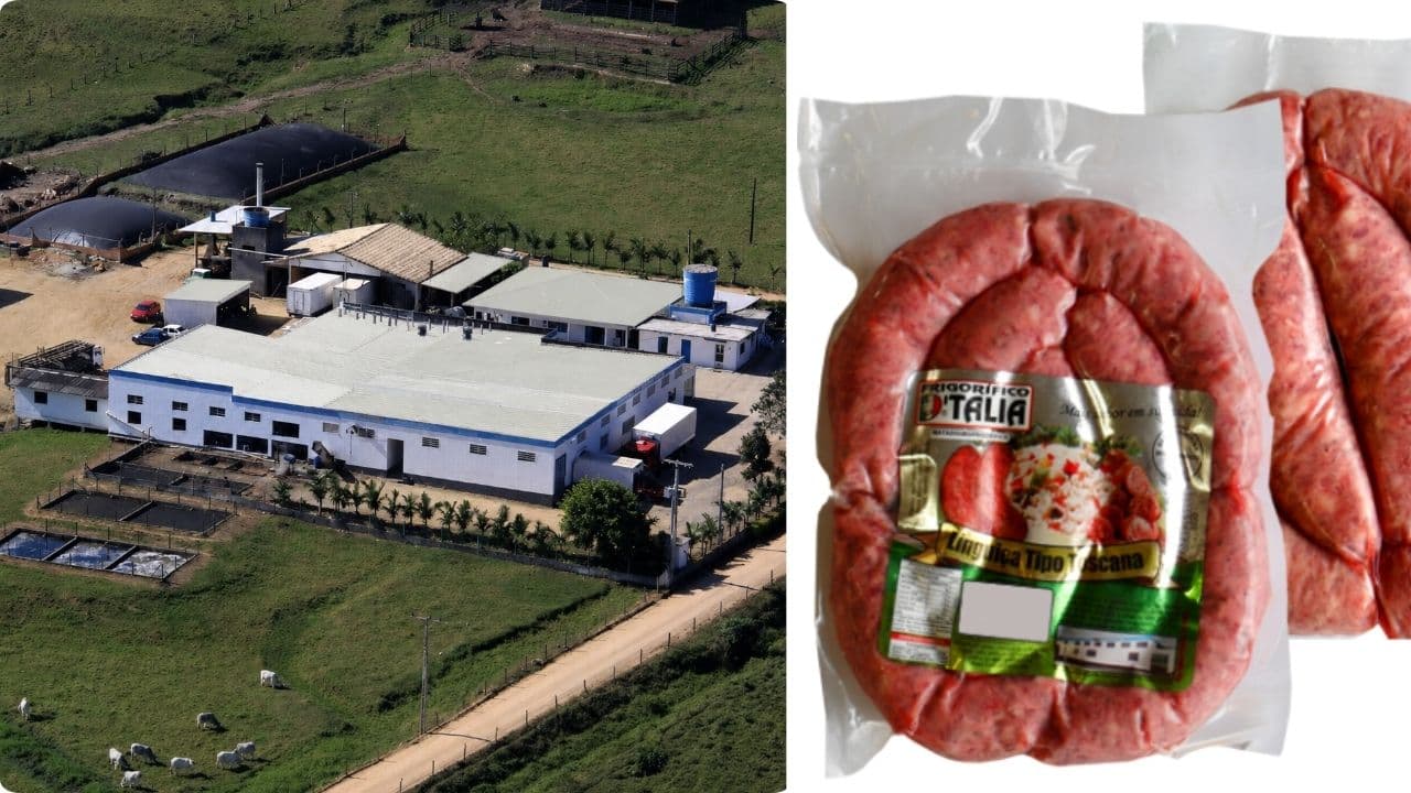 Lote de linguiça é recolhido após análise detectar salmonela