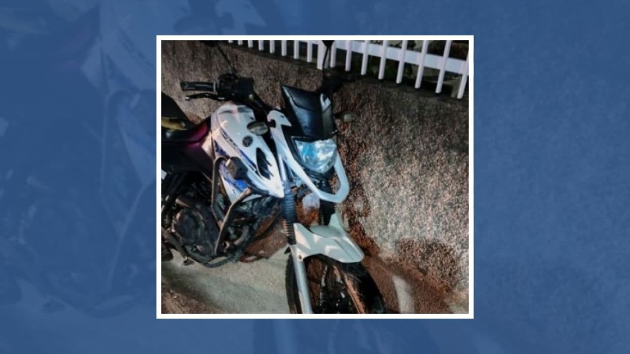 Motociclista perde controle e cai após gato cruzar rua
