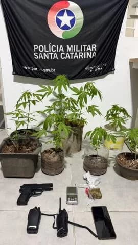 Adolescente é apreendido com nove pés de maconha e arma falsa