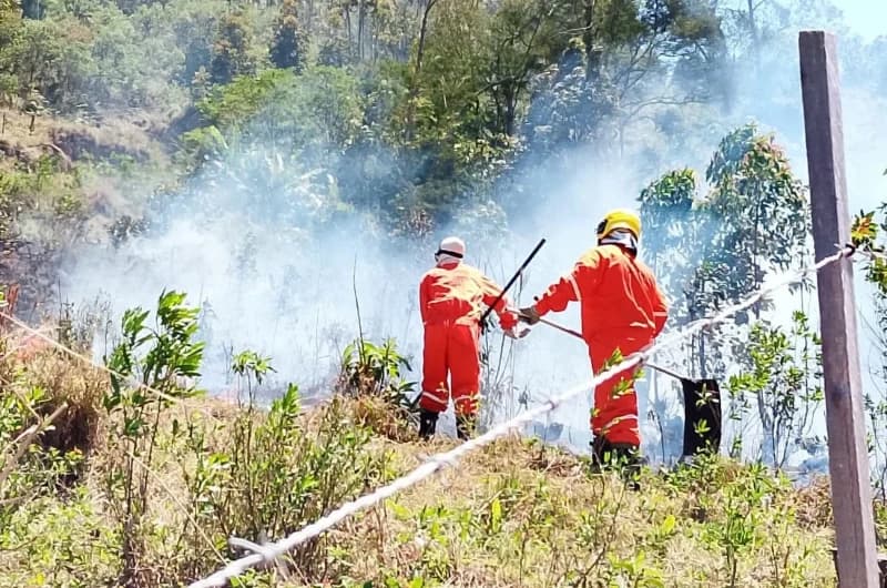 Incêndio em área de mata preocupa por causa dos fortes ventos