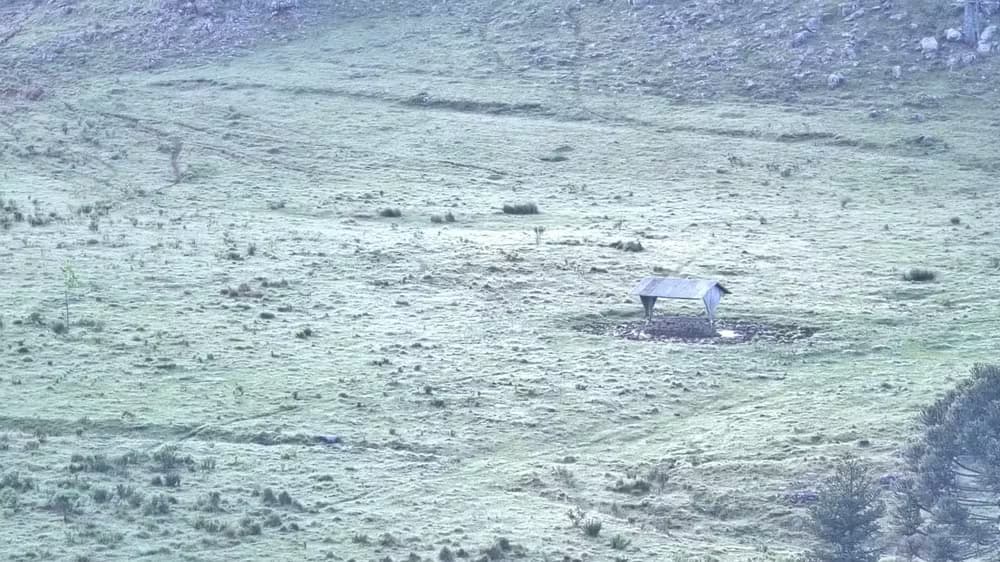Primavera tem temperaturas negativas e geada em Santa Catarina