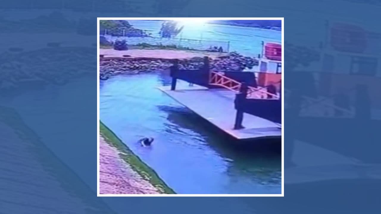 ▶️ Homem cai na água ao saltar da balsa e outra pessoa também acaba caindo ao tentar ajudá-lo