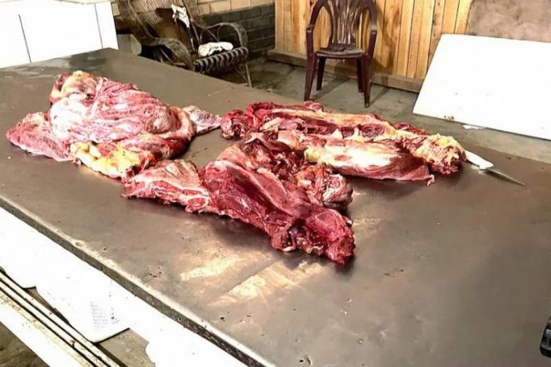Operação aponta que mercado de Laguna vendia carne de cavalo