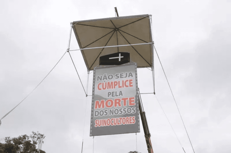 Produtores de Braço do Norte vão distribuir carne suína em forma de protesto