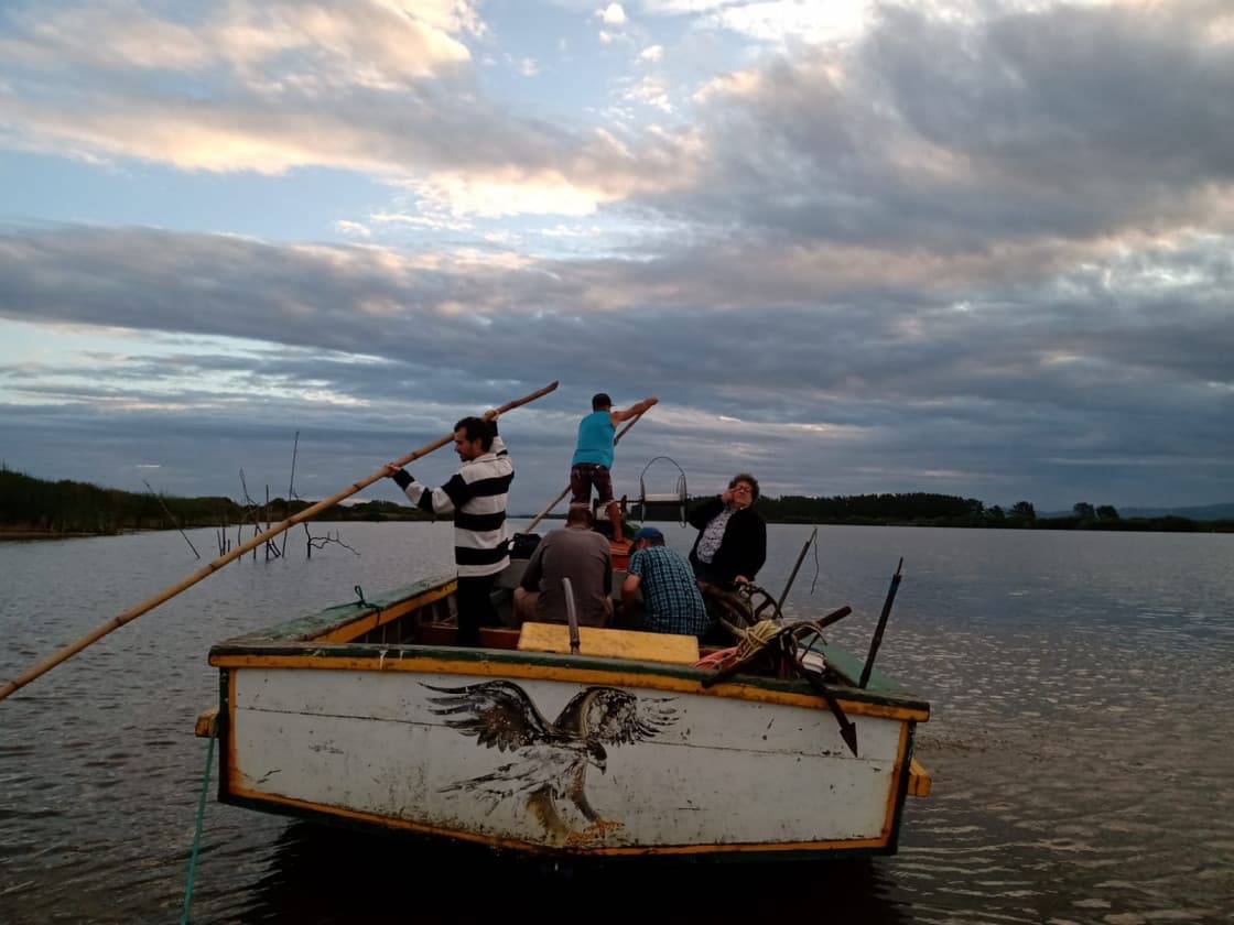 Projetos de restauração de mangues para gerar créditos de carbono são avaliados