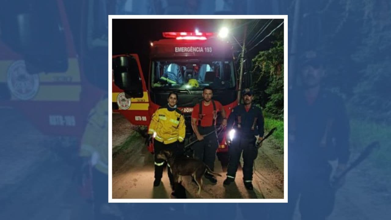 Pitbulls são resgatados de tubulação com oito metros de profundidade