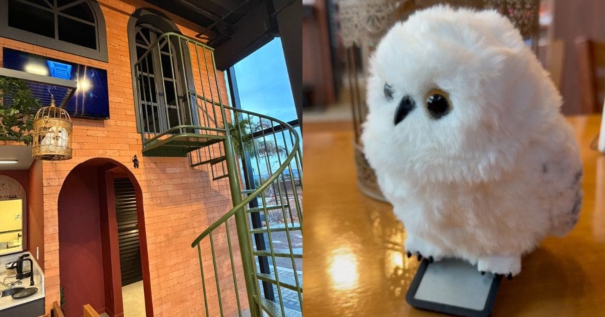 Cafeteria temática inspirada em Harry Potter é inaugurada em Gravatal