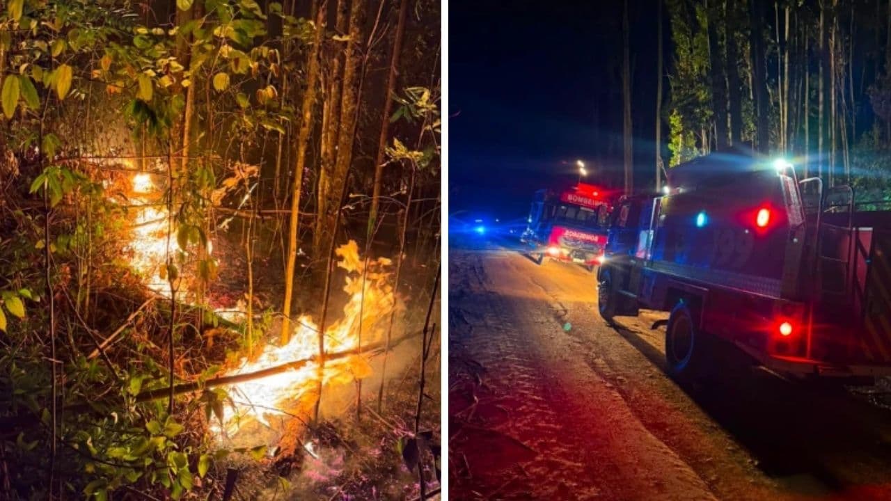Incêndio atinge plantação de eucaliptos em Treze de Maio