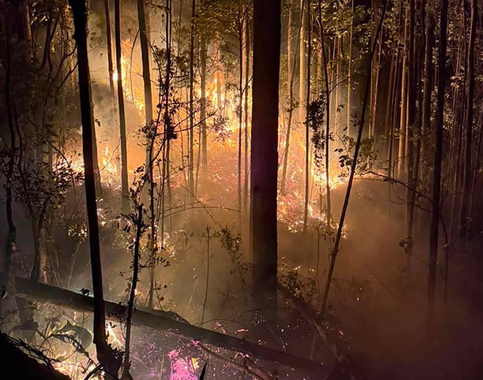 Incêndio atinge plantação de eucalipto em Treze de Maio
