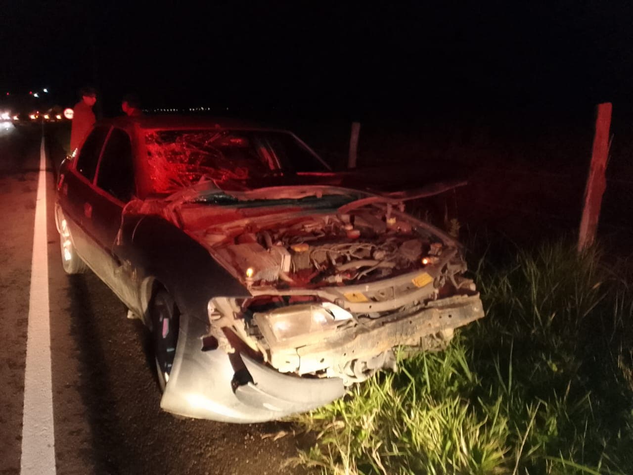 Carro bate em cavalo solto na pista durante a noite